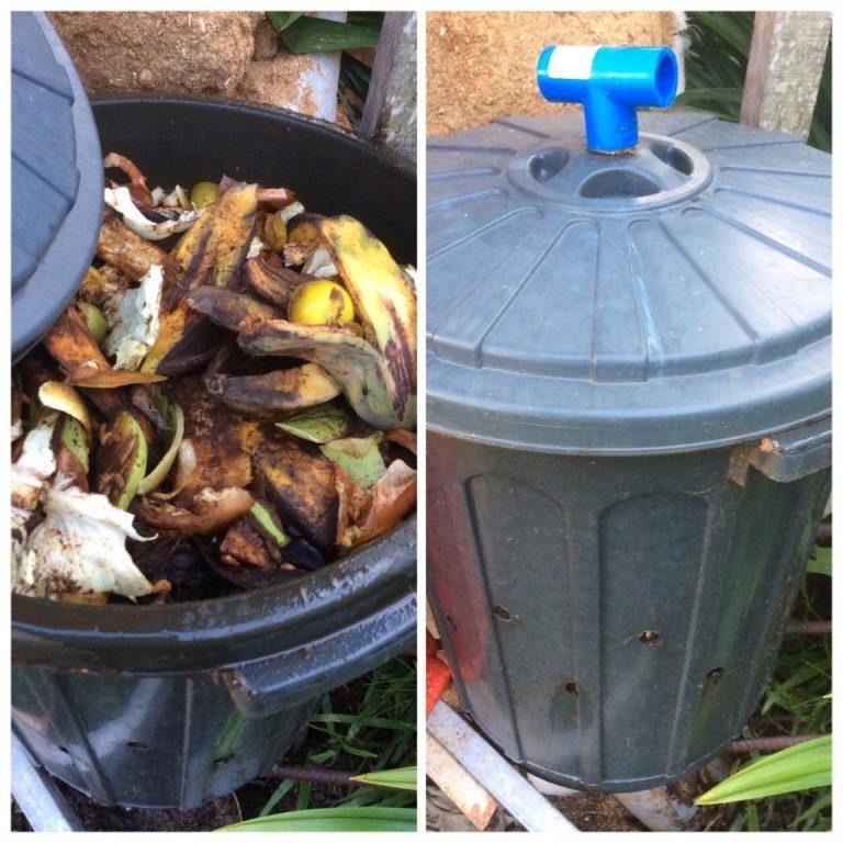 How to Convert Kitchen Waste Into Organic Fertilizer Using a Compost Bin