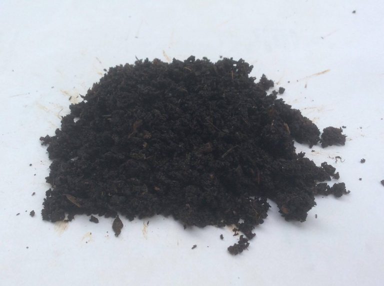 How To Make Vermicompost At Home for Organic Fertilizer
