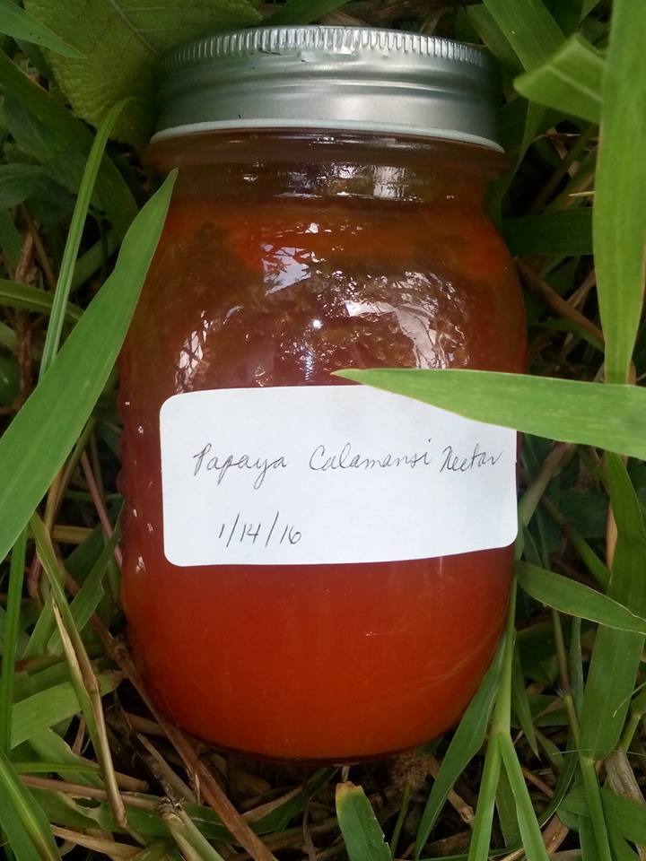 canned organic papaya calamansi nectar