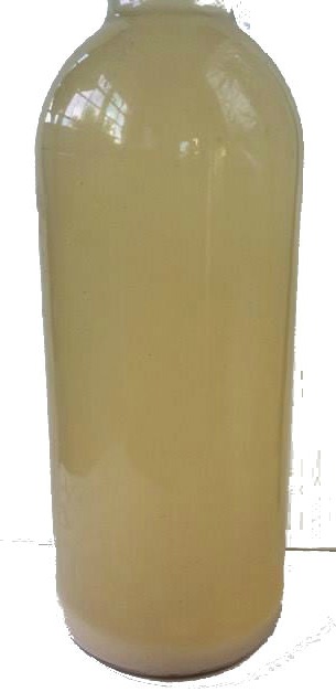 traditional Filipino coconut sap (tuba) vinegar