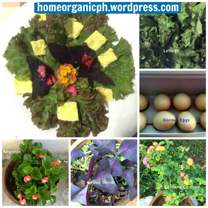 picmonkey-collage-flower-salad
