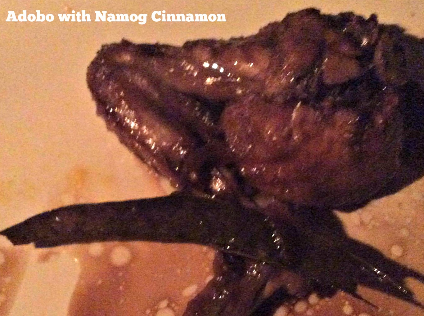 Adobo with Namog cinnamon1