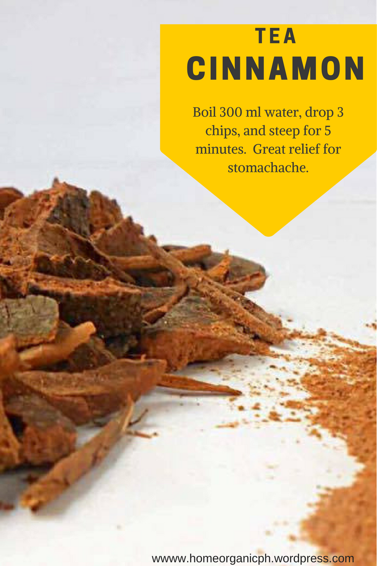 Tea Cinnamon Relief for Stomachache