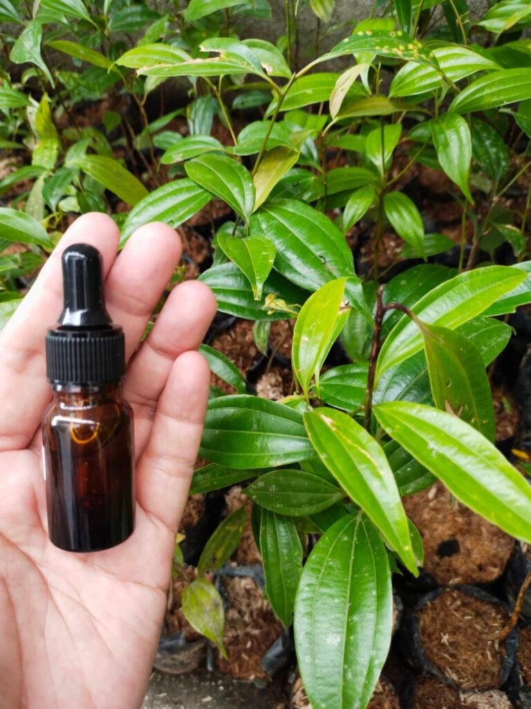 Natural Cinnamon Sleep Spray