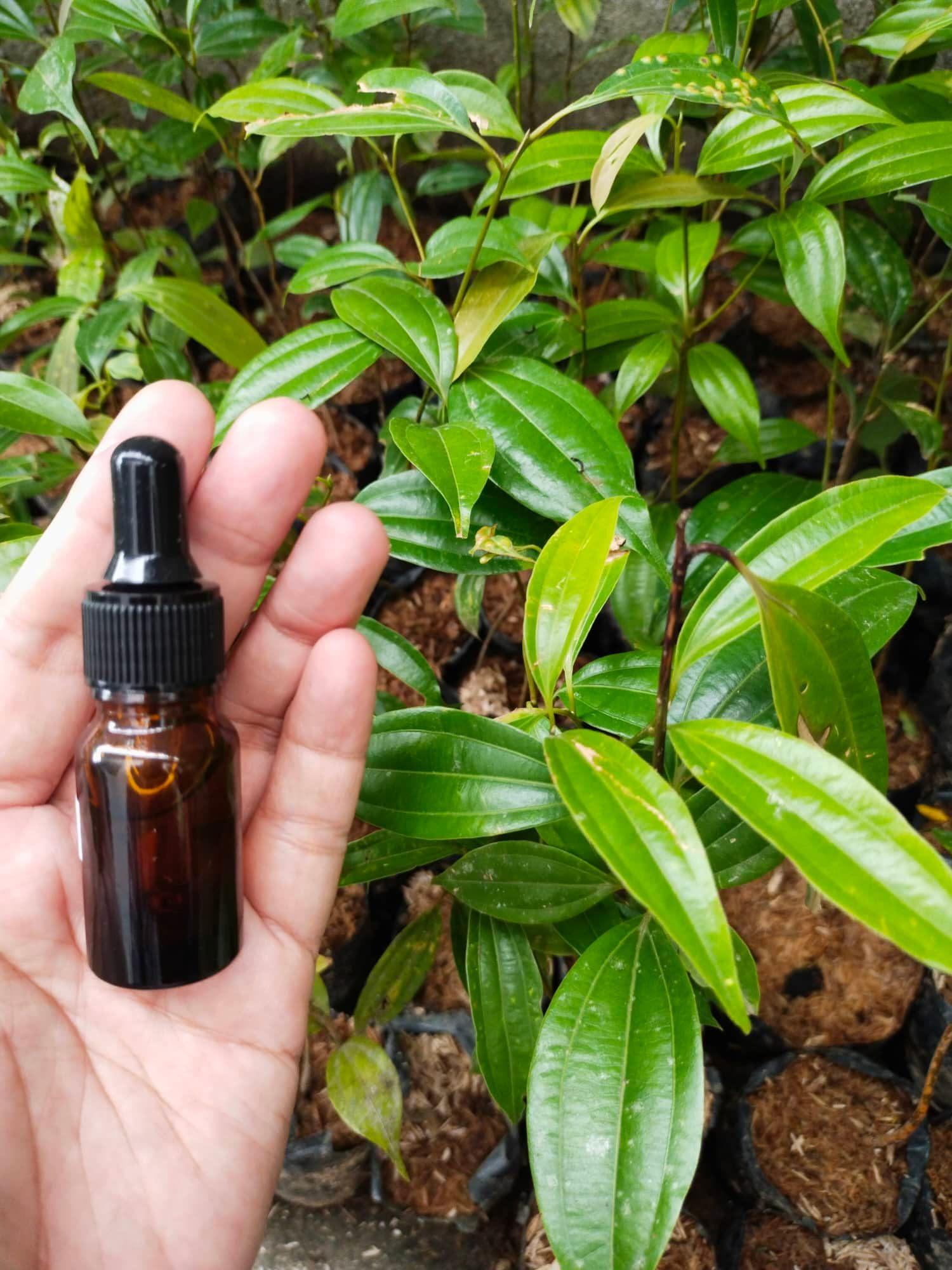 Natural Cinnamon Sleep Spray