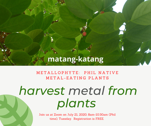 Matang-Katang: A Metal Eating Plants