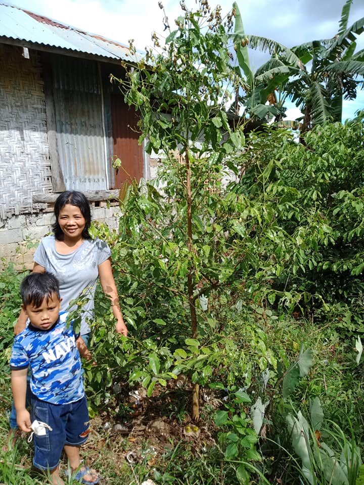 Philippine Cinnamon of Partner Farmer, Ms Jenelyn Bongo