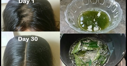 Preventing Hair Fall Using Curry Leaf