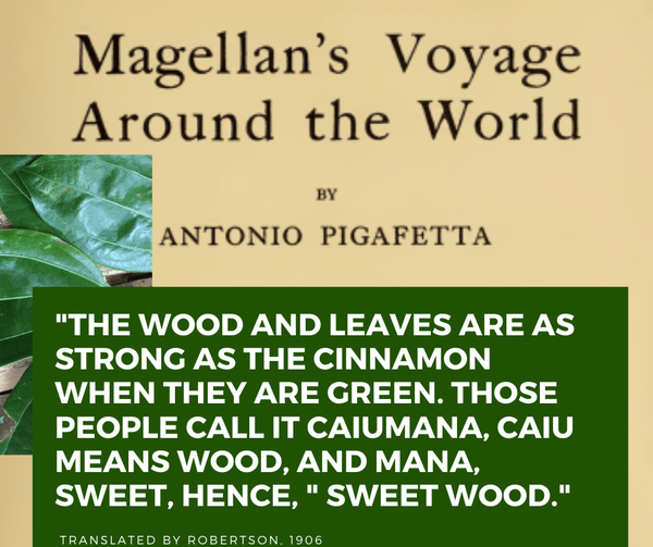 Magellan’s Voyage Around The World